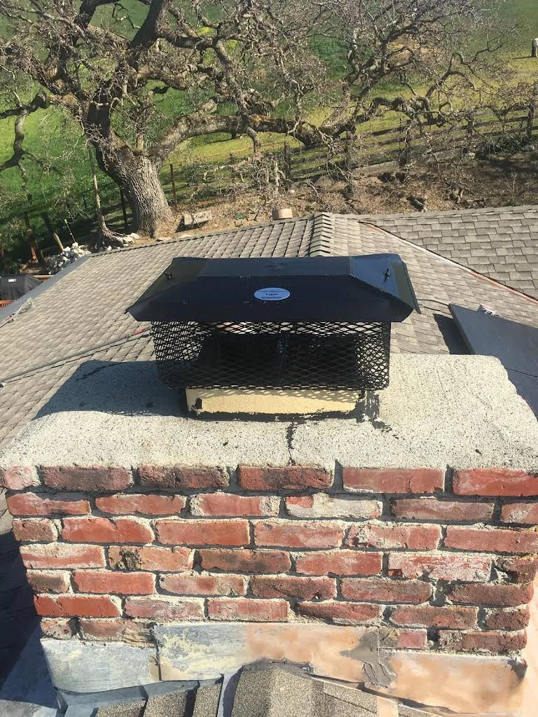 Black mesh chimney cap installed on a brick chimney